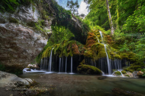 Capelli di Venere by Lauroalex_photography