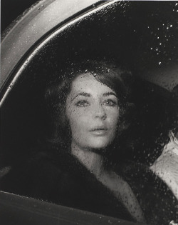 robert-hadley: Elizabeth Taylor, early 1950s