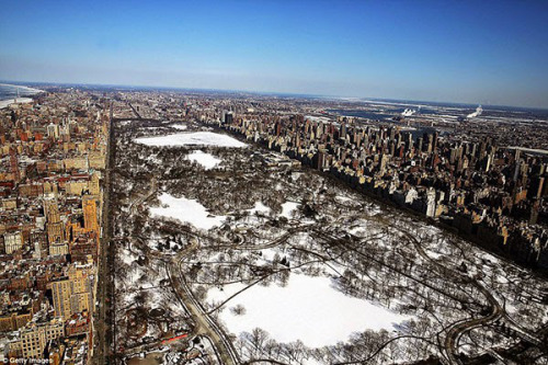 asylum-art: On Ice by Spencer Platt Getty Photographer Spencer Platt has a series of images of New Y