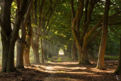 Late Summer in #Twente. Have a great Fall!