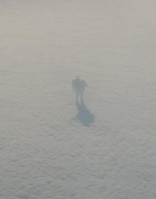 theidofdav: sixpenceee:  A figure in the clouds captured on a flight around Christmas, 2015.  Picture by reddit user narlsburg  Does William Shatner know about this? 