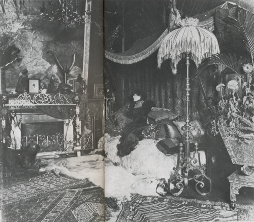 Sarah Bernhardt in her salon in Paris, 1890. Scanned from Michael and Ariane Batterberry's Fash