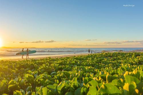 oceaniatropics:  Rainbow Bay, Queensland, Australia, by Keykodadesign   