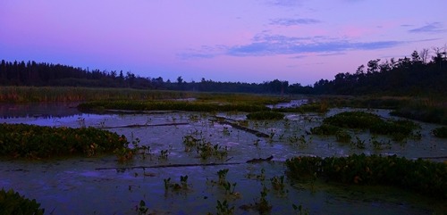 wapiti3:THE SLOWER YOU GO THE BIGGER YOUR WORLD GETS!sunrisehiking elk island july 19 2016 my pics