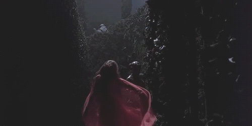 frankensteinsbrides:    Bram Stoker’s Dracula (1992) dir. Francis Ford Coppola