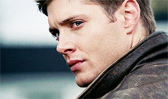 dean winchester + profile        