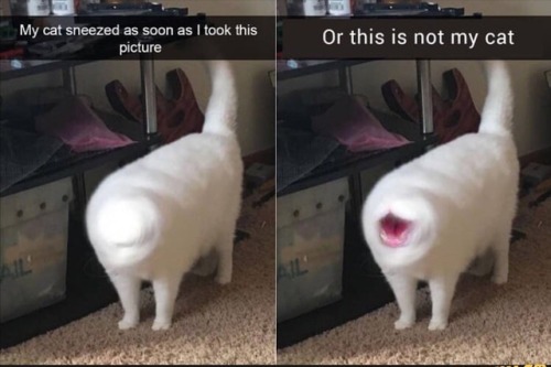 A Little Disturbed