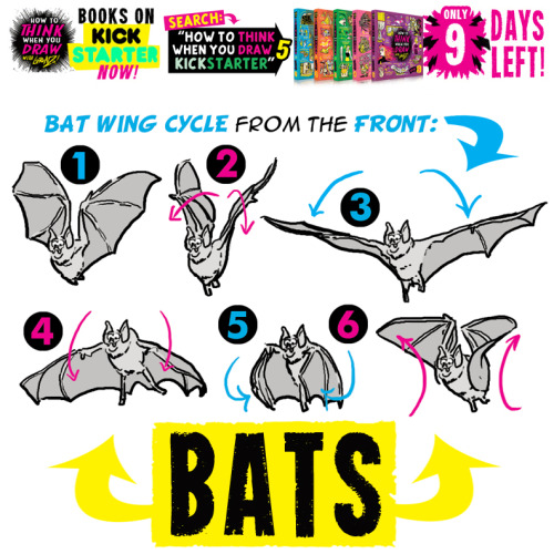 BATS! ALL my TUTORIALS BOOKS will COMPLETELY SELL OUT in the next NINE DAYS! My set of 200-page TUTO