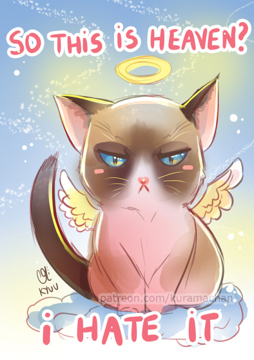 askkury:Tribute to Grumpy Cat, that cute meme, that unfortunately passed away this week.The idea of 