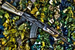 weaponslover:   Saiga AK47. A work of art.