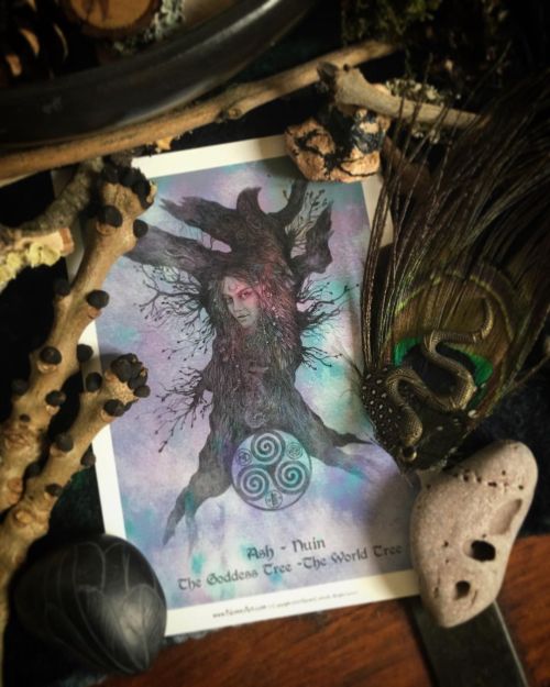 Ash Nuin: The Goddess Tree, The World Tree, The Faerie TreeLunar month: February 18th to March 17th.