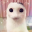 bigweteyes
