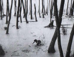 neo-catharsis:  Andrei Tarkovsky, Ivan’s Childhood, 1962