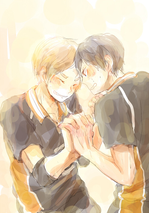 wishfuldesire-blog1:  【腐】ハイキューログ 