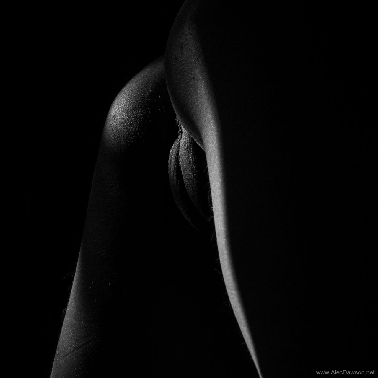 ttoottoott:  Pixie by *alecdawsonphoto 