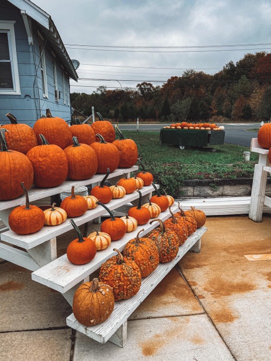 thicc-thighs-and-spooky-vibes:NJ, USA(Not my photos)Follow for more 🎃🍂🍁👻 