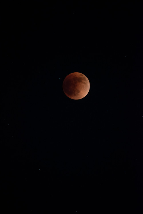 rhiannatruexx: super flower blood moon II, 5-15-2022