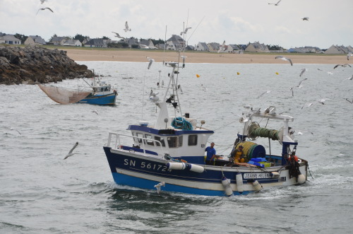 Places to go and things to eat around Guérande (Brittany) You might know Guérande (Photo 1) for its 