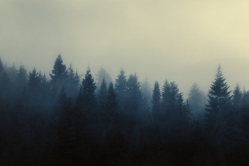 seathes:  _