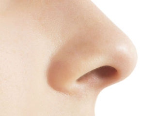 Research Yields Insight into the Mystery of Smell