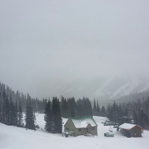 Oooo baby. The snow here is so fluffy and glorious @sunshinevillage #banff #powder