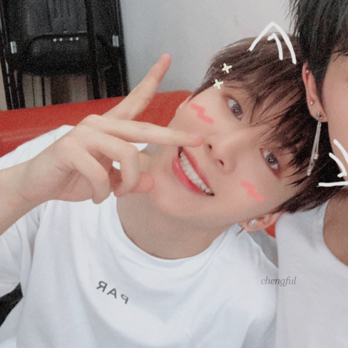 chengful: ˚₊· ͟͟͞͞➳  soft!chengcheng (+zhengting!) | twittergif ver: x do not remove/cro