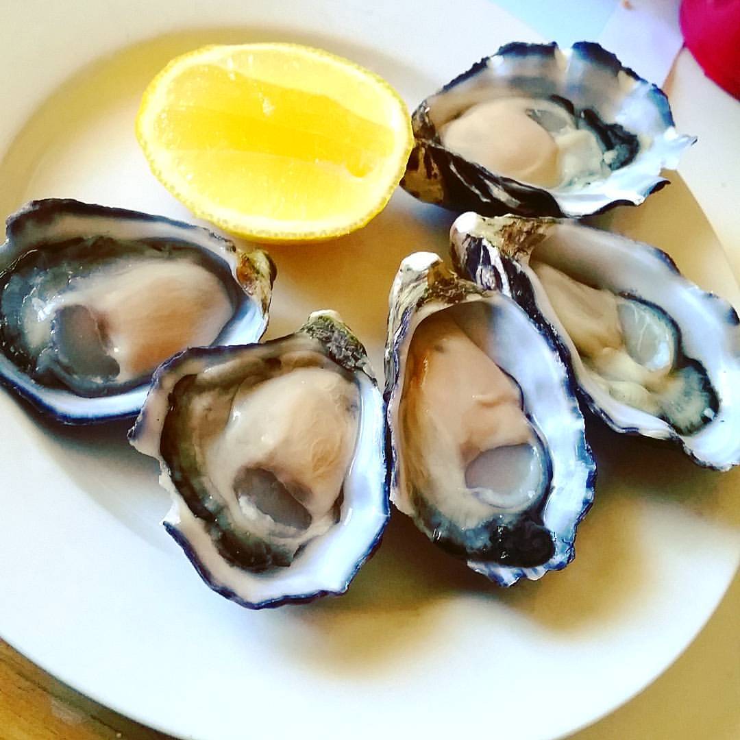 Omg 😍😍 #coffinbayoysters #oysters #10calories each #instafoodie #instafood