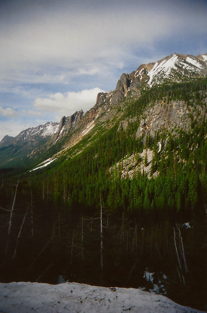 brutalgeneration:  (by warmsummernight) 