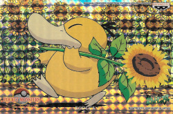 pokescans: Postcard 