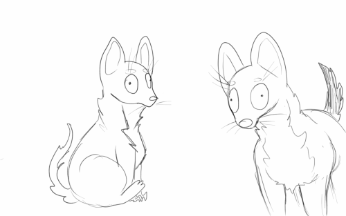 i drew my dog