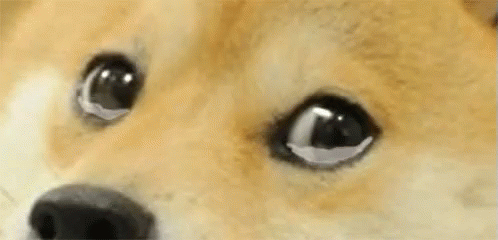 Patreon... Y U DO DIS TO MEH!!!