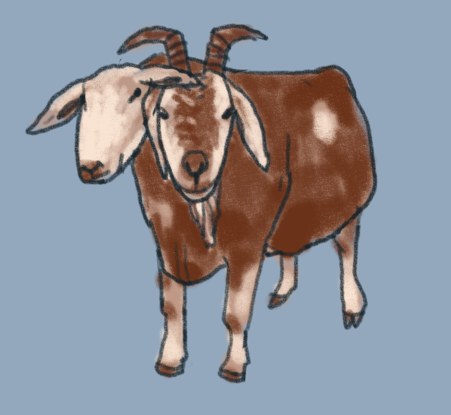 digital drawing of a creature with the body of a cow and two heads. one head is a sheep head and one head is a goat head. it is brown and white on a blue background. it has kind eyes