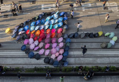 Sex kateoplis:  HOPE, The Umbrella Revolution pictures