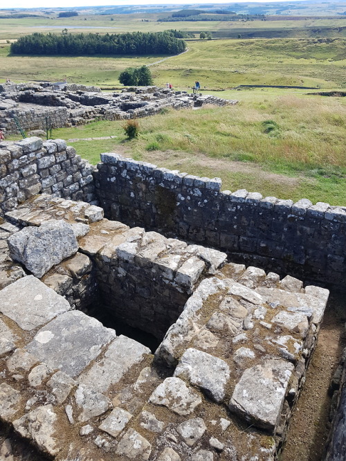 Housesteads Roman Fort, Hadrian’s Wall, Northumberland, 2.8.18.A return visit to this site in the su
