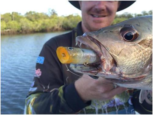 baitproshop