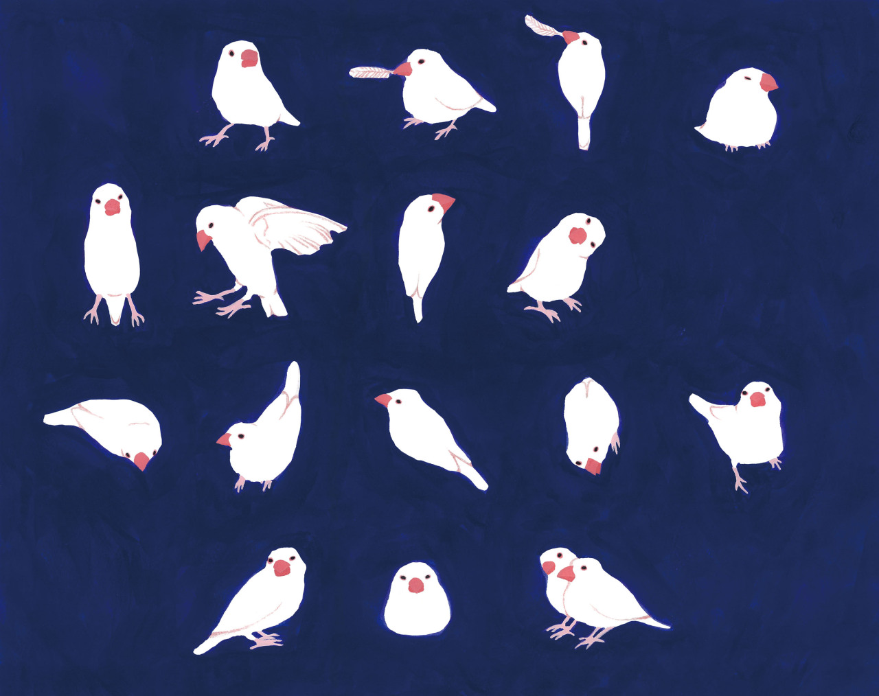 yuka-hiiragi:birds