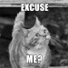 6thsensical:image source&ldquo;If you let a person talk long enough you&rsquo;ll
