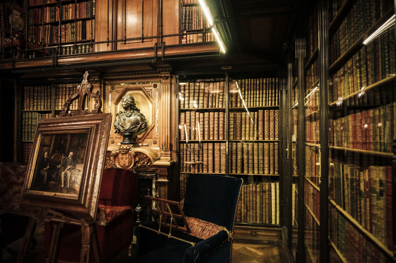 elle-may:   Magnificent Book Cabinet (le Cabinet des Livres) in the Château de