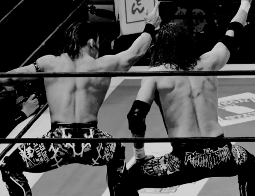 Bullet Club’s cutest tag team (ꈍᴗꈍ)  [requested by @oedojoshicorps]