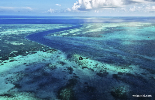 More than a decade ago Wakatobi dive resort created a marine reserve, which protects over twelve mil