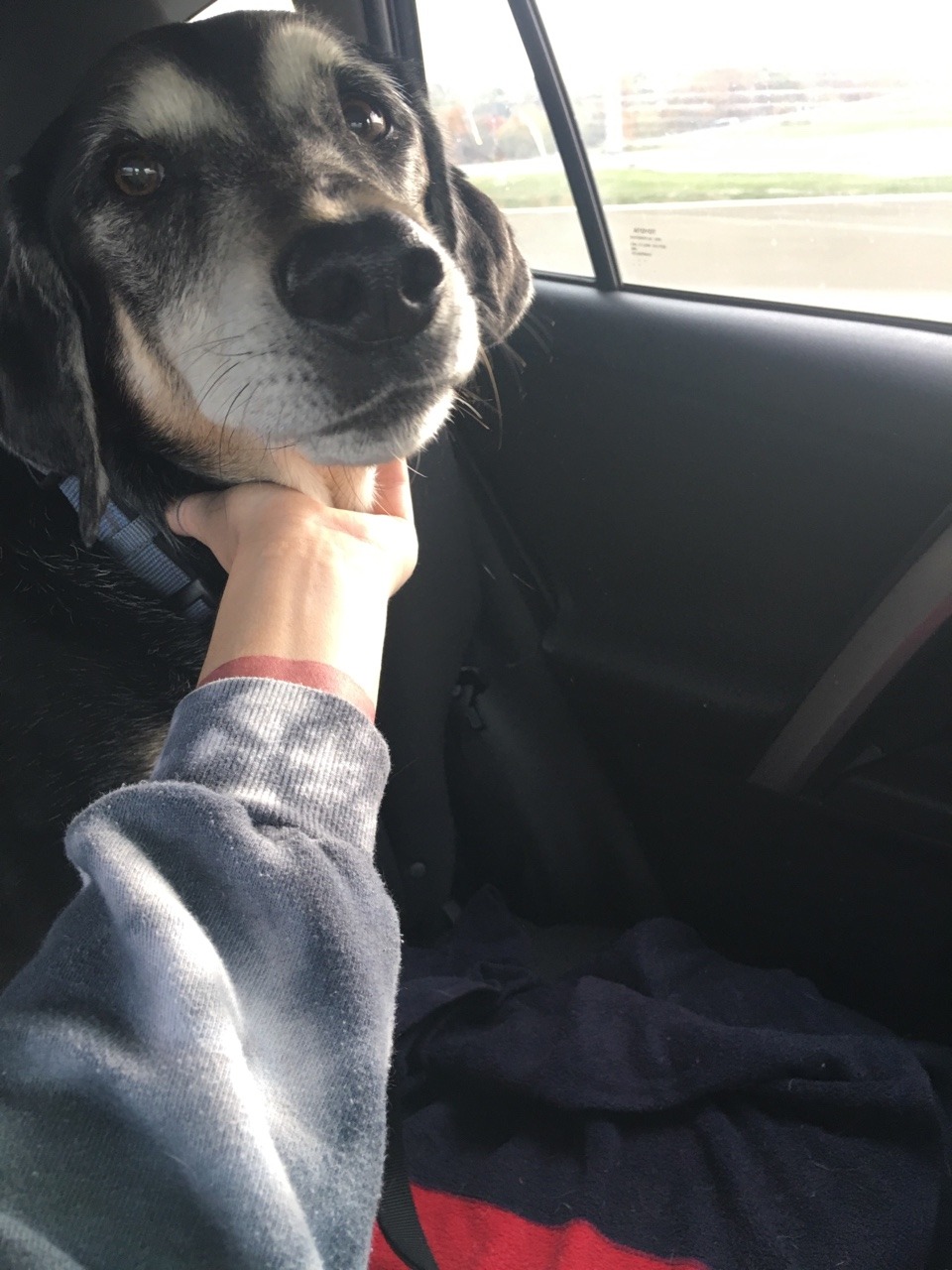 camdamage:  camdamage: Thanks to the sudden and kinda big vet bills from Kiefer’s