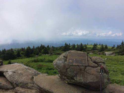 Roan Highlands, Tennessee -June 2018