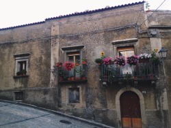 Lecosecherestano:  Montalbano Elicona, Sicilia