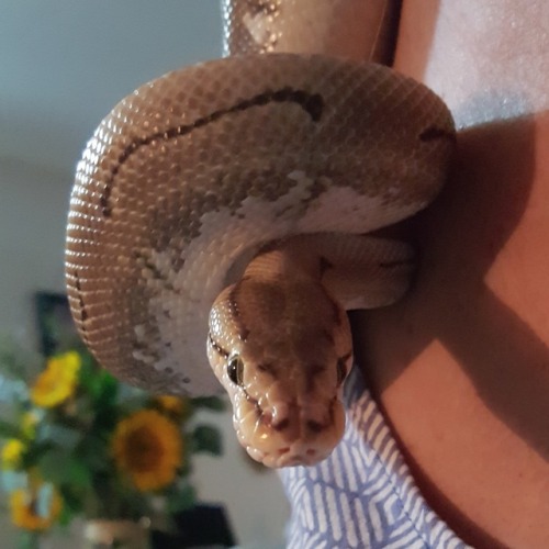 princessnakedasajaybirdd:Mum and Moose helped me fold laundry tonight.