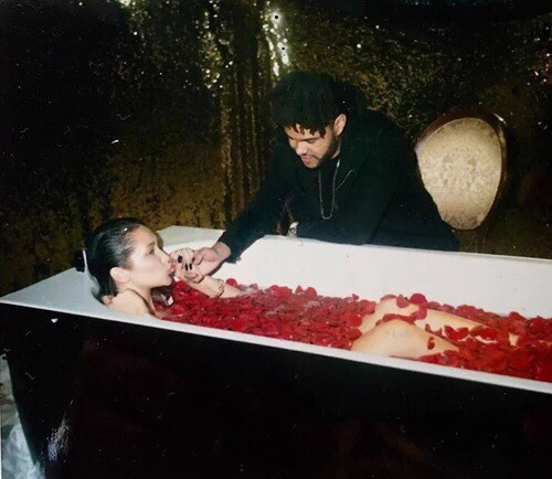 thexoweeknd:The Weeknd x Bella Hadid