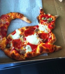 buzzfeed:  This pizza cat is all of my favorite things at once.
