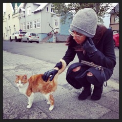 Trying to make friends in Reykjavik.. (at