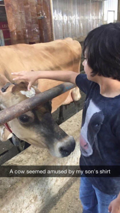 fruitcrocs:  stability:  (Via)  THIS MAKES ME UNBELIEVABLY HAPPY THE COW RECOGNISES ITS OWN KIND ON HIS SHIRT HE DERIVES PLEASURE FROM SEEING ANOTHER COW’S FACE 