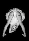 #5071 - Stella#5071 – StellaView On WordPress