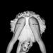 #5071 - Stella#5071 – StellaView On WordPress